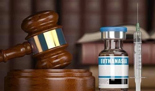 Euthanasia