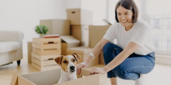 Pet Rent
