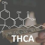 THCA
