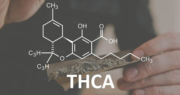 THCA