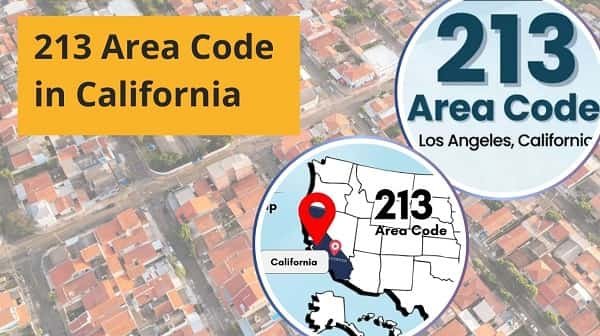 213 Area Code in California