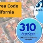 310 Area Code in California