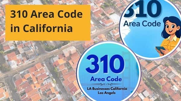 310 Area Code in California
