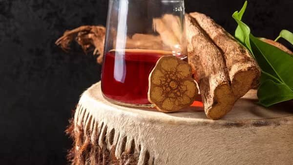 Ayahuasca