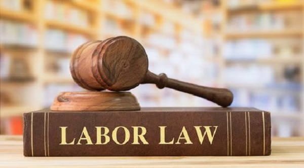 Labor Lawyer