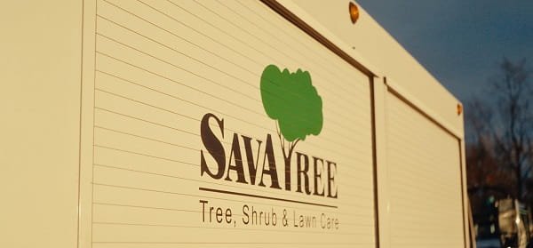 SavATree